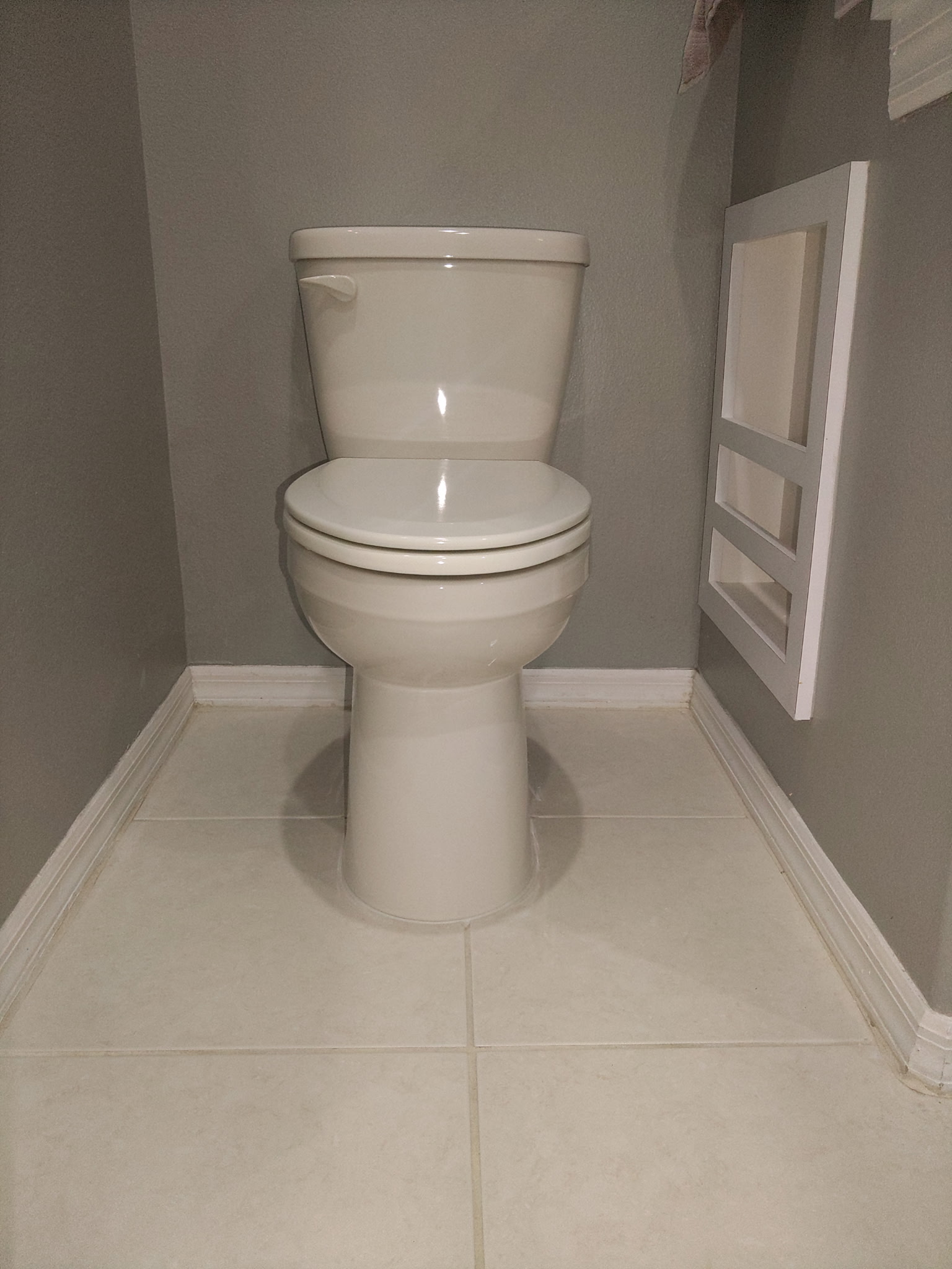 ADA Toilet(s) Installation, Trinity Florida Thumbnail